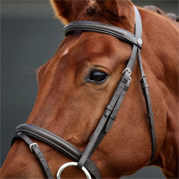 2026 Dublin Padded Flash Bridle 1031497 - Brown